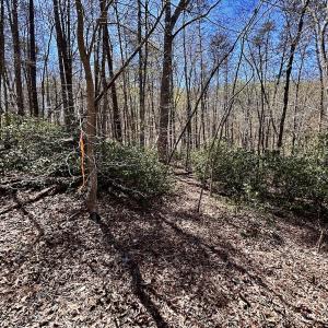 Photo #35 of SOLD property in Off Drawbridge Rd, Pittsville, VA 18.1 acres