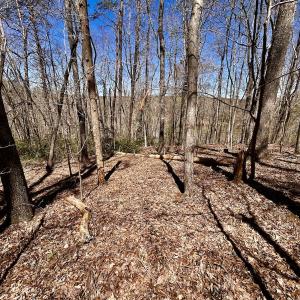 Photo #36 of SOLD property in Off Drawbridge Rd, Pittsville, VA 18.1 acres
