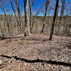 Photo #37 of SOLD property in Off Drawbridge Rd, Pittsville, VA 18.1 acres