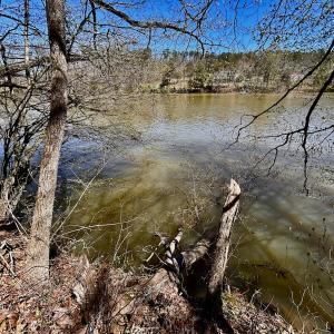 Photo #38 of SOLD property in Off Drawbridge Rd, Pittsville, VA 18.1 acres
