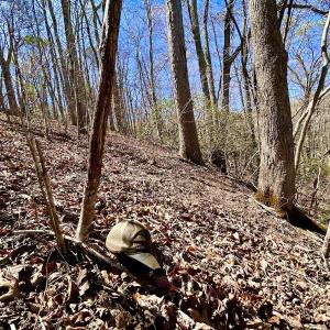 Photo #40 of SOLD property in Off Drawbridge Rd, Pittsville, VA 18.1 acres
