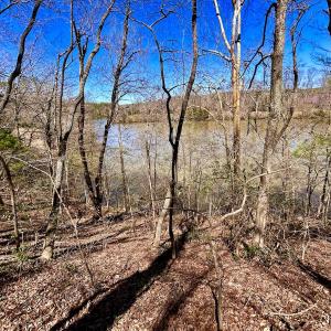 Photo #41 of SOLD property in Off Drawbridge Rd, Pittsville, VA 18.1 acres