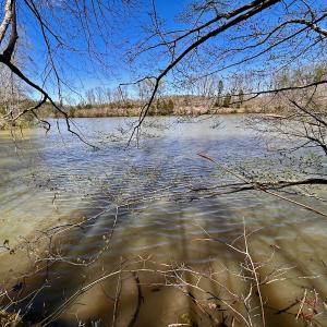Photo #43 of SOLD property in Off Drawbridge Rd, Pittsville, VA 18.1 acres