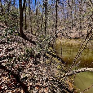 Photo #45 of SOLD property in Off Drawbridge Rd, Pittsville, VA 18.1 acres