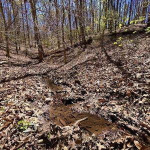 Photo #49 of SOLD property in Off Drawbridge Rd, Pittsville, VA 18.1 acres