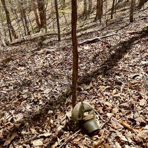 Photo #50 of SOLD property in Off Drawbridge Rd, Pittsville, VA 18.1 acres