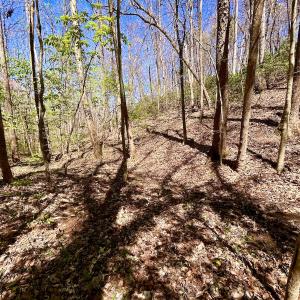 Photo #51 of SOLD property in Off Drawbridge Rd, Pittsville, VA 18.1 acres