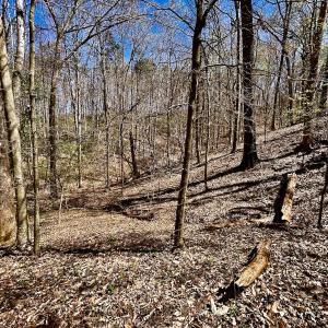 Photo #53 of SOLD property in Off Drawbridge Rd, Pittsville, VA 18.1 acres