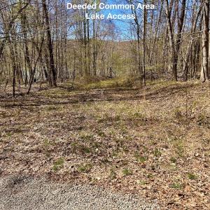 Photo #55 of SOLD property in Off Drawbridge Rd, Pittsville, VA 18.1 acres