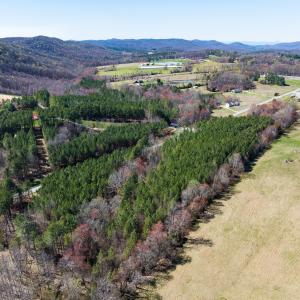 Photo #2 of SOLD property in 6342 Wilkesboro Highway, Union Grove, NC 11.0 acres