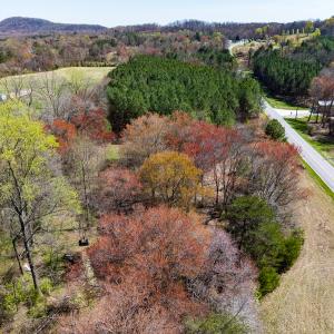 Photo #4 of SOLD property in 6342 Wilkesboro Highway, Union Grove, NC 11.0 acres