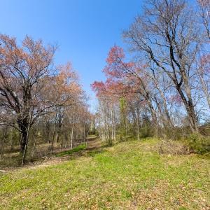 Photo #7 of SOLD property in 6342 Wilkesboro Highway, Union Grove, NC 11.0 acres