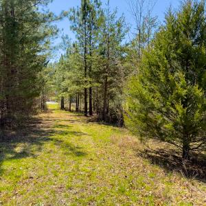 Photo #14 of SOLD property in 6342 Wilkesboro Highway, Union Grove, NC 11.0 acres