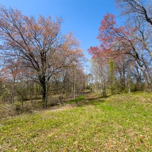 Photo #17 of SOLD property in 6342 Wilkesboro Highway, Union Grove, NC 11.0 acres