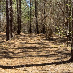 Photo #19 of SOLD property in 6342 Wilkesboro Highway, Union Grove, NC 11.0 acres