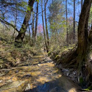 Photo #30 of SOLD property in 6342 Wilkesboro Highway, Union Grove, NC 11.0 acres