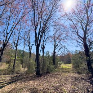 Photo #31 of SOLD property in 6342 Wilkesboro Highway, Union Grove, NC 11.0 acres