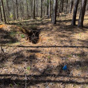 Photo #32 of SOLD property in 6342 Wilkesboro Highway, Union Grove, NC 11.0 acres