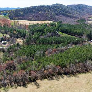 Photo #39 of SOLD property in 6342 Wilkesboro Highway, Union Grove, NC 11.0 acres