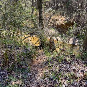 Photo #40 of SOLD property in 6342 Wilkesboro Highway, Union Grove, NC 11.0 acres