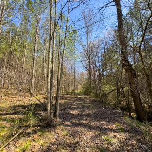 Photo #41 of SOLD property in 6342 Wilkesboro Highway, Union Grove, NC 11.0 acres