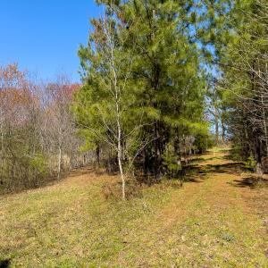 Photo #43 of SOLD property in 6342 Wilkesboro Highway, Union Grove, NC 11.0 acres