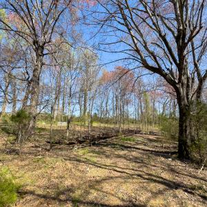 Photo #44 of SOLD property in 6342 Wilkesboro Highway, Union Grove, NC 11.0 acres