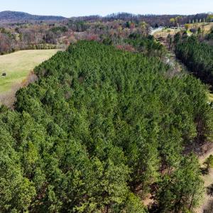 Photo #45 of SOLD property in 6342 Wilkesboro Highway, Union Grove, NC 11.0 acres