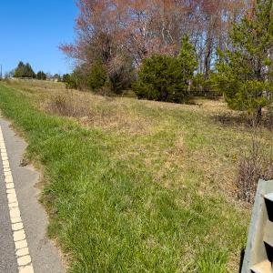 Photo #46 of SOLD property in 6342 Wilkesboro Highway, Union Grove, NC 11.0 acres