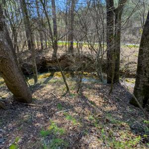 Photo #47 of SOLD property in 6342 Wilkesboro Highway, Union Grove, NC 11.0 acres