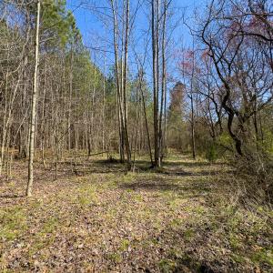 Photo #48 of SOLD property in 6342 Wilkesboro Highway, Union Grove, NC 11.0 acres