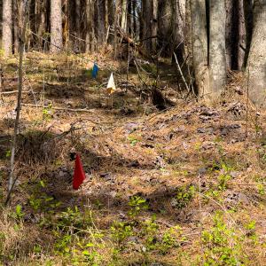Photo #54 of SOLD property in 6342 Wilkesboro Highway, Union Grove, NC 11.0 acres