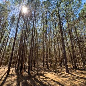 Photo #55 of SOLD property in 6342 Wilkesboro Highway, Union Grove, NC 11.0 acres