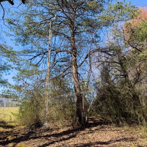 Photo #57 of SOLD property in 6342 Wilkesboro Highway, Union Grove, NC 11.0 acres