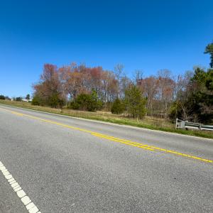 Photo #58 of SOLD property in 6342 Wilkesboro Highway, Union Grove, NC 11.0 acres