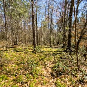 Photo #59 of SOLD property in 6342 Wilkesboro Highway, Union Grove, NC 11.0 acres