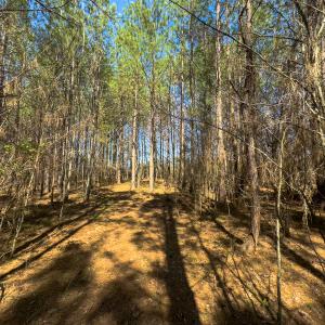 Photo #60 of SOLD property in 6342 Wilkesboro Highway, Union Grove, NC 11.0 acres