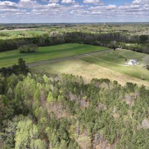 Photo #7 of SOLD property in Off Bessie Hicks Road, Norlina, NC 5.0 acres