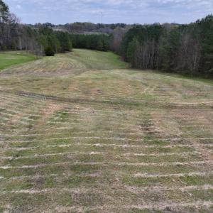 Photo #13 of SOLD property in Off Bessie Hicks Road, Norlina, NC 3.0 acres