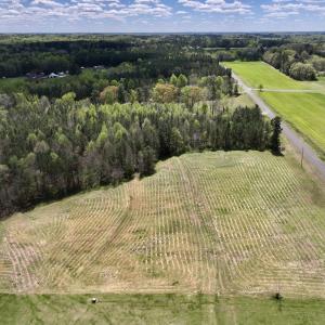 Photo #4 of SOLD property in Off Bessie Hicks Road, Norlina, NC 3.0 acres