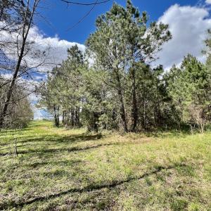 Photo #10 of SOLD property in Off Bessie Hicks Road, Norlina, NC 19.0 acres