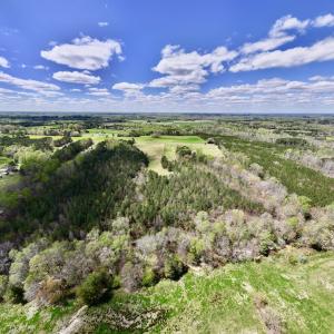 Photo #12 of SOLD property in Off Bessie Hicks Road, Norlina, NC 19.0 acres