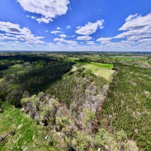 Photo #13 of SOLD property in Off Bessie Hicks Road, Norlina, NC 19.0 acres