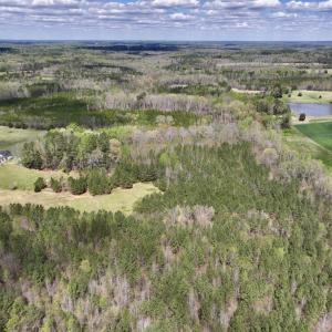 Photo #19 of SOLD property in Off Bessie Hicks Road, Norlina, NC 19.0 acres