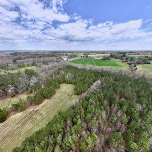 Photo #20 of SOLD property in Off Bessie Hicks Road, Norlina, NC 19.0 acres