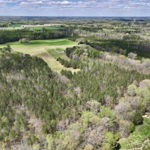 Photo #21 of SOLD property in Off Bessie Hicks Road, Norlina, NC 19.0 acres