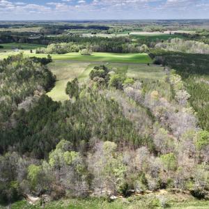 Photo #23 of SOLD property in Off Bessie Hicks Road, Norlina, NC 19.0 acres