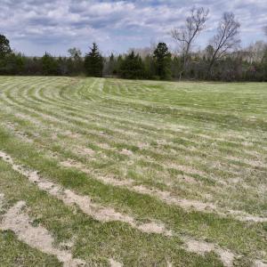 Photo #11 of SOLD property in Off Bessie Hicks Road, Norlina, NC 5.0 acres