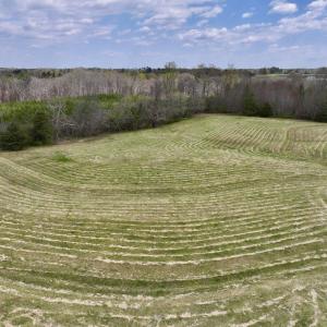 Photo #12 of SOLD property in Off Bessie Hicks Road, Norlina, NC 5.0 acres