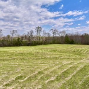 Photo #13 of SOLD property in Off Bessie Hicks Road, Norlina, NC 5.0 acres